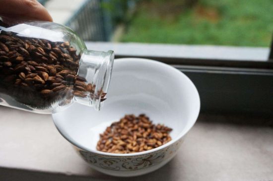 大麥茶上火嗎，喝大麥茶會不會上火？