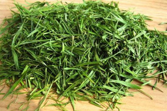 哪類人不適合喝石竹茶，石竹茶的功效與禁忌