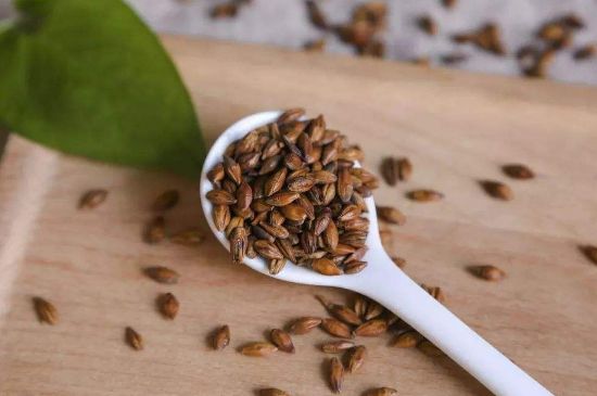 大麥茶上火嗎，喝大麥茶會不會上火？