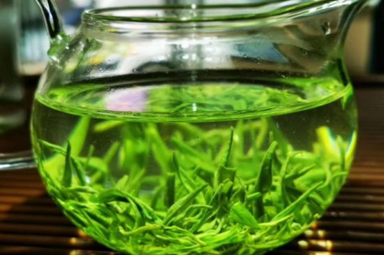 喝黃金茶禁忌，什么人不能喝黃金芽茶？