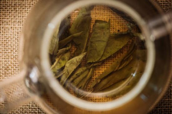 苦丁茶副作用，苦丁可以經(jīng)常喝嗎？