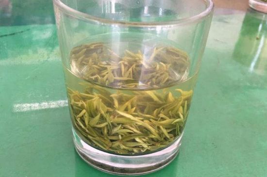 碧螺春正確泡法和飲用，碧螺春茶泡茶方法與溫度
