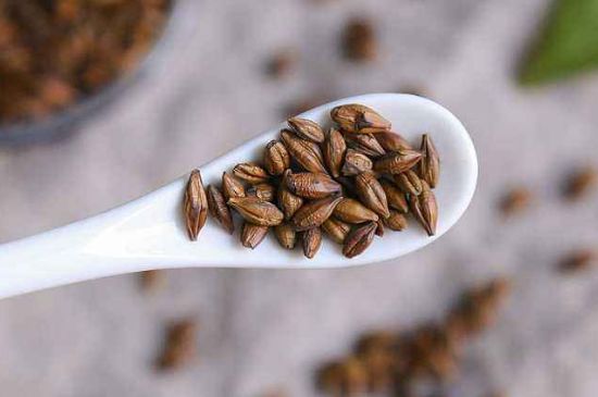 飯店的大麥茶為什么那么香，自己泡的蕎麥茶沒飯店香