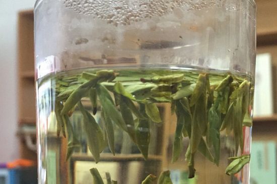 煮茶器能煮龍井嗎，龍井茶能不能用煮茶器圖