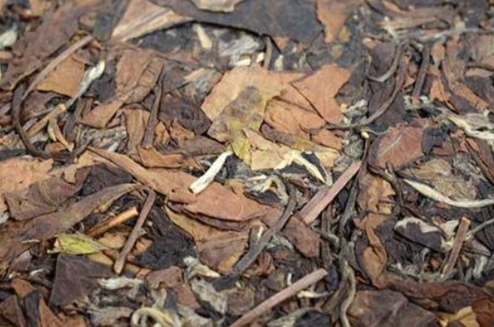 福鼎白茶能長時間悶泡嗎，老白茶可以悶著喝嗎？