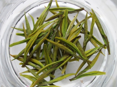 安吉白茶的功效與作用，簡(jiǎn)單概括安吉白茶功效