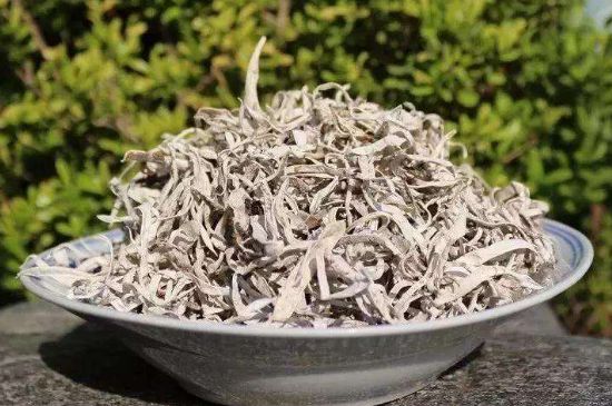 麗江雪茶的功效與作用，白雪茶有什么功效和作用