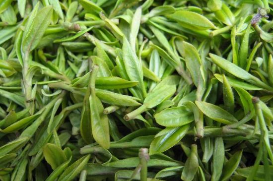 世界最貴的茶葉排行榜，十大最貴的茶