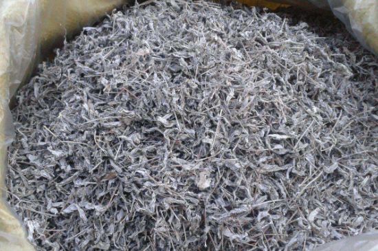 怎樣辨別莓茶發(fā)霉了，莓茶發(fā)霉和白霜的區(qū)別