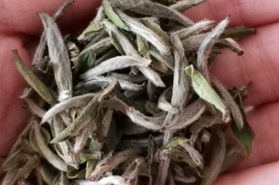 如何買茶葉不上當，怎么買茶葉不被坑？