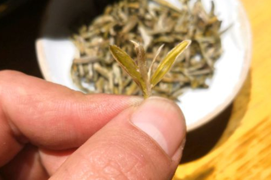 六大茶類哪種適合長期存放，日常如何保存方法一覽？