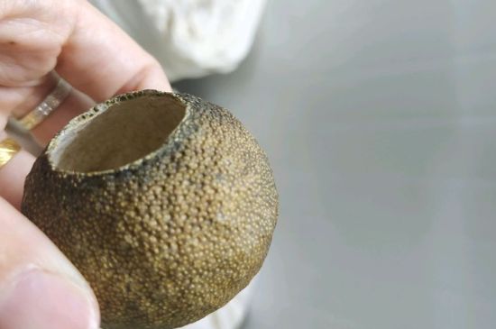 小青柑多少錢一盒，新會(huì)小青柑普茶價(jià)格一斤多少