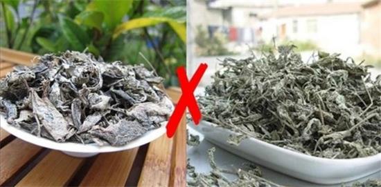 張家界茅巖莓茶與藤茶是同一種茶嗎，藤茶跟莓茶一不一樣？