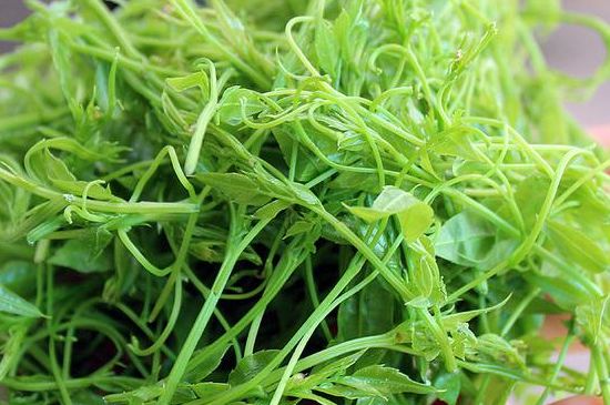 茅巖莓茶別名是什么，莓茶別名叫藤茶嗎？