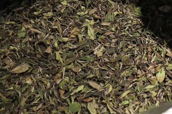 陳茶還是新茶好，茶葉是新茶好喝還是陳茶好喝