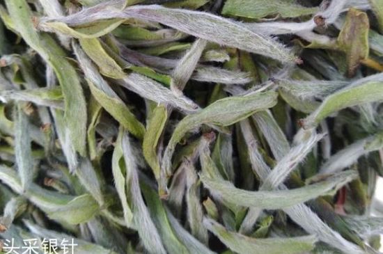 春茶季怎么辨別白毫銀針的好壞，好的白毫銀針如何選購(gòu)？