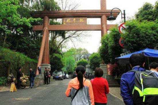 杭州買龍井茶攻略，怎么買到正宗的西湖龍井？