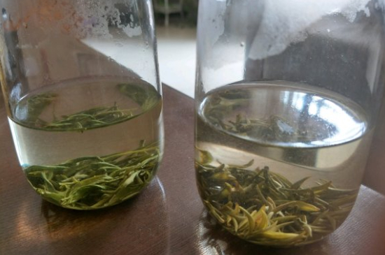 真假碧螺春泡水后區(qū)別，蘇州洞庭碧螺春怎樣鑒別好壞？