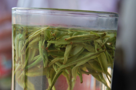 白茶的年份是怎么區(qū)分，如何辨別白茶年份