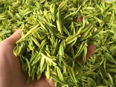 白茶品質(zhì)如何區(qū)分，白茶的優(yōu)劣質(zhì)量辨別方法