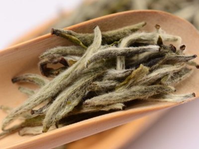 白毫銀針放幾年最好，白毫銀針什么年份最好？