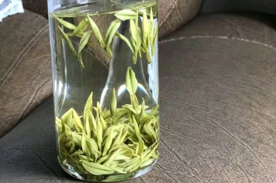 安吉白茶夏天怎么保存，安吉白茶能冷凍儲存嗎？