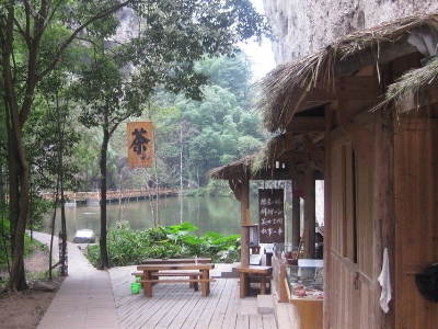 實體店買茶葉的技巧，新手買茶須知