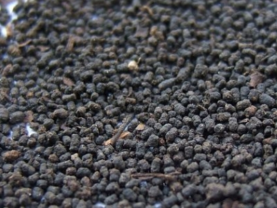 圓形顆粒狀茶是什么茶，像飼料一樣一粒粒的是什么茶？