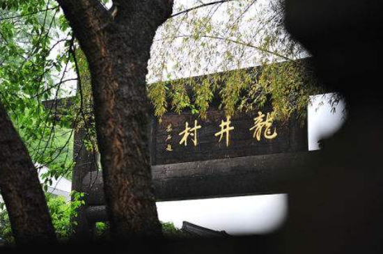 杭州買龍井茶攻略，怎么買到正宗的西湖龍井？