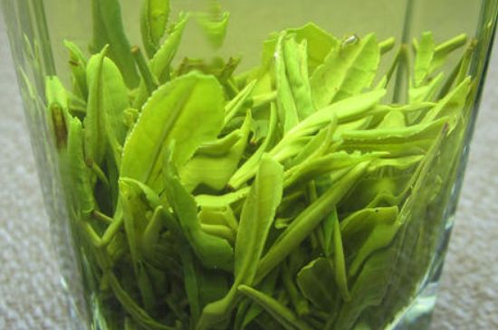 哪種茶葉可以放冰箱，哪些茶不能放冰箱？