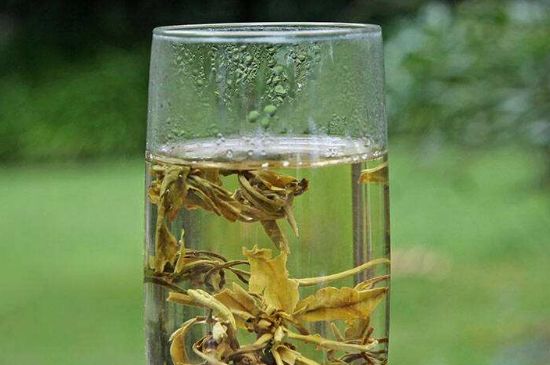 茉莉龍珠什么人不能喝，茉莉龍珠茶什么體質(zhì)不能喝？