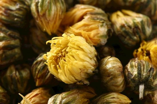 蒲公英搭配大全，蒲公英泡水喝的8種搭配