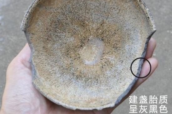 假建盞的特點，真假建盞區(qū)分帶圖