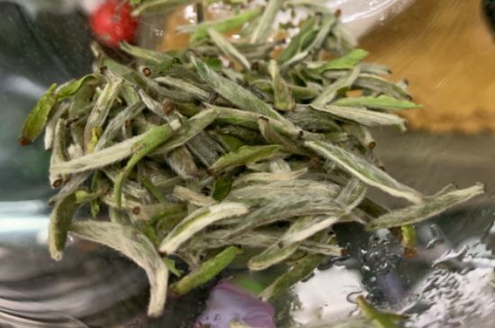 蒸汽煮茶器適合什么茶，蒸汽煮茶器適合用綠茶嗎？