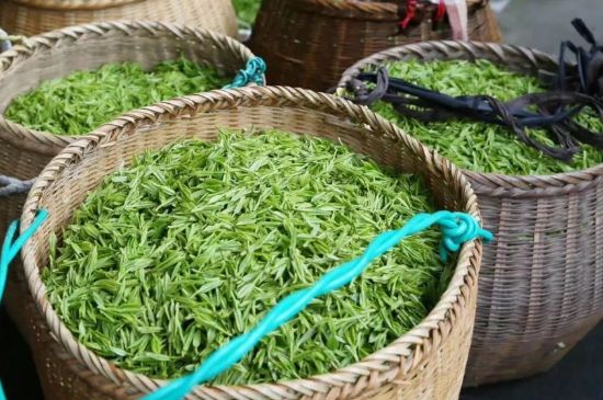 茶葉怎么炒制才香，怎樣炒茶葉更香？