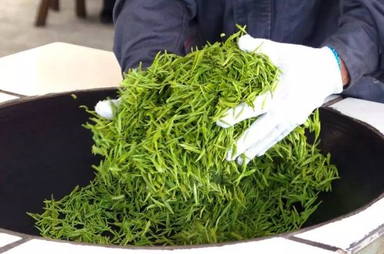 自家炒茶葉怎么炒，自己炒茶葉的步驟