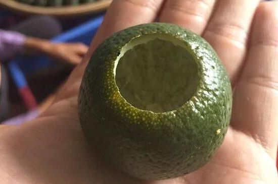 家庭自制柑普茶方法，小青柑制作9個步驟竅門（圖片）