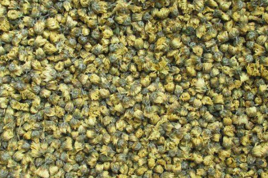 菊花茶大朵小朵有什么區(qū)別，菊花喝大朵還是小朵？