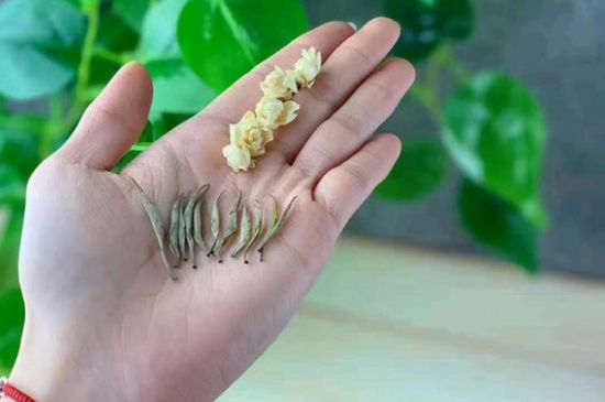 茉莉銀針口感，茉莉銀針是什么味道？