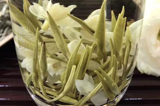 茉莉花茶分類，茉莉花茶都有什么種類