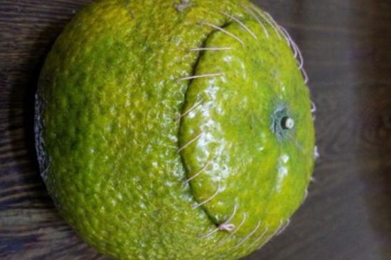 家庭自制柑普茶方法，小青柑制作9個步驟竅門（圖片）