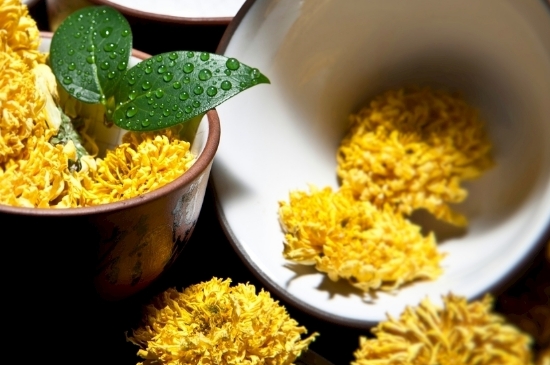 孕婦可以喝菊花茶嗎，菊花對胎兒有致畸作用？