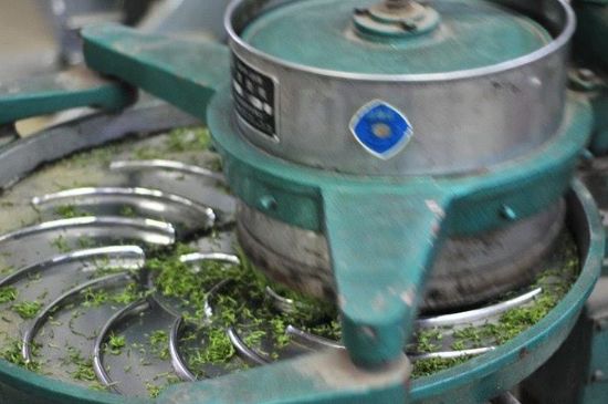 武夷巖茶的初制、精制加工工藝詳細(xì)講解