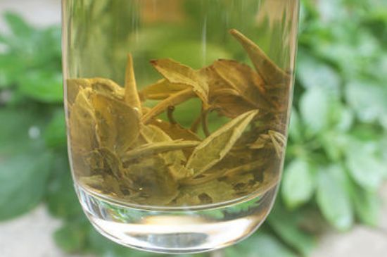 茉莉龍珠泡開后為什么都是梗，茉莉龍珠泡開后什么樣？