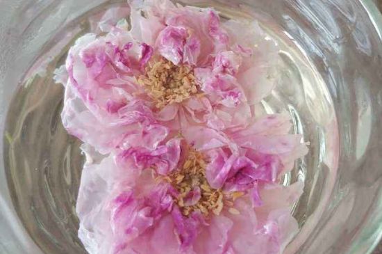 玫瑰花茶上火嗎，盲目喝玫瑰花茶易上火