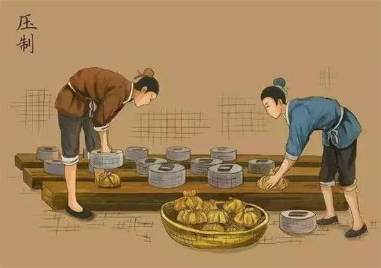 制茶八步驟，制茶工藝流程圖