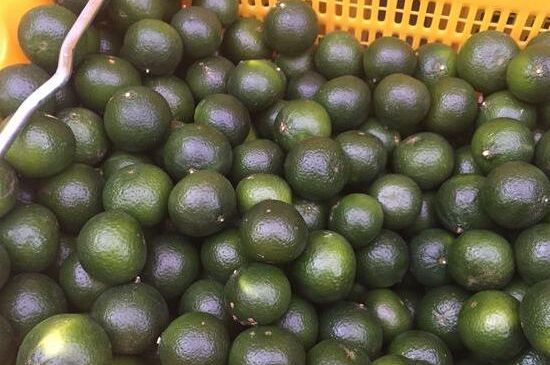 家庭自制柑普茶方法，小青柑制作9個步驟竅門（圖片）