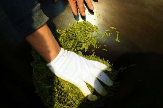 茶葉怎么炒制才香，怎樣炒茶葉更香？