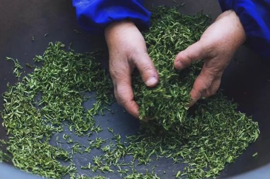 自家炒茶葉怎么炒，自己炒茶葉的步驟