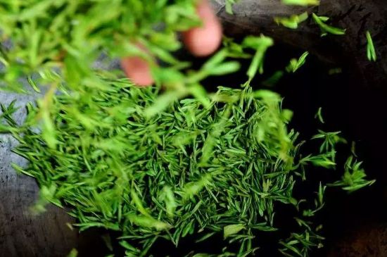 龍井茶炒茶葉怎么炒出好茶色，茶葉怎樣做出來最綠？